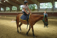 LA SCUOLA PONY